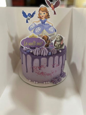 Stegulet mov cu coroniță, tema Prințesa Sofia