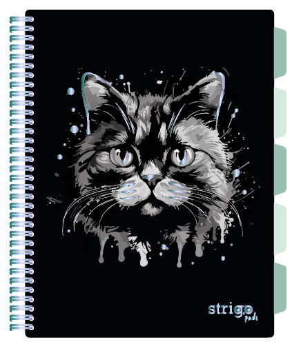 Caiet cu Spirală și Separatoare Strigo Pads Project Book PISICA A4, Matematică [1]