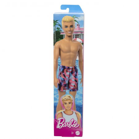 Jocuri si articole copii - Barbie Păpușa Ken la Plajă 