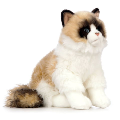 Jocuri si articole copii - Pisică Ragdoll de pluș 25 cm – Living Nature