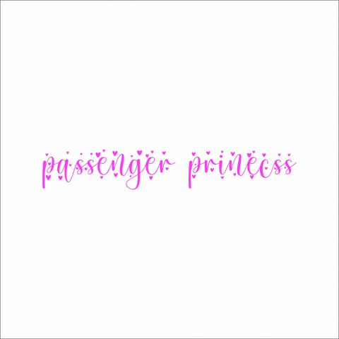 DIVERSE - STICKER PASSENGER PRINCESS HEARTS