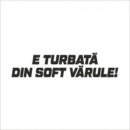 DIVERSE - STICKER E TURBATA DIN SOFT VARULE