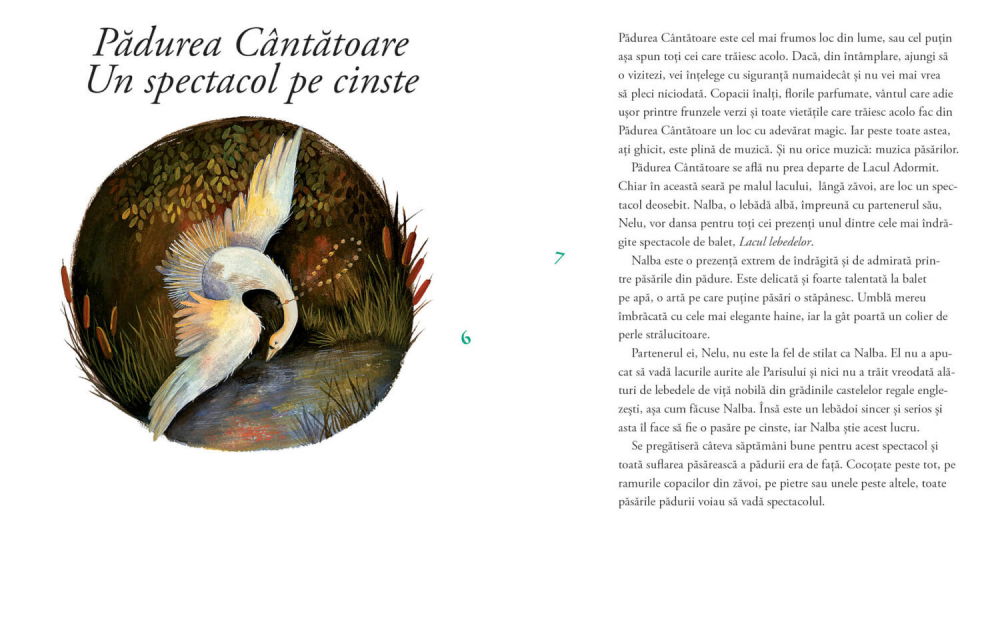 Cronicile-Padurii-UNIVERS [2]