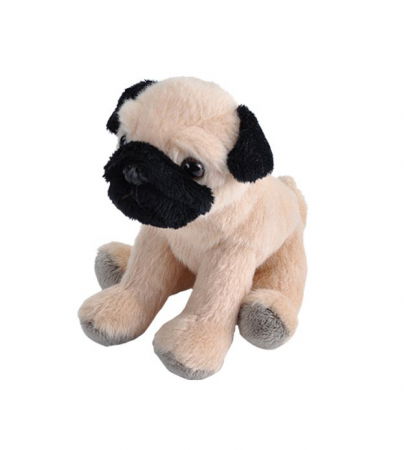 Wild Republic - Wild Republic-Catel Pug - Jucarie Plus 13 cm