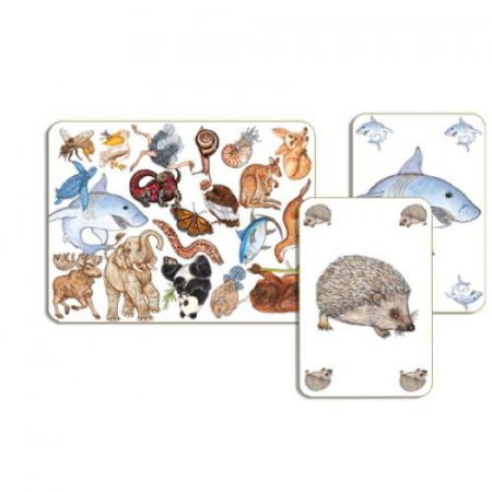 Jocuri de societate - Djeco-Zanimatch-joc-de-observatie