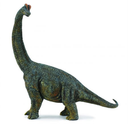 Játékok 2 éves kortól - Collecta Figurina Brachiosaurus - Deluxe