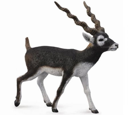 Baba játékok - Collecta Figurina pictata manual Antilopa Blackbuck