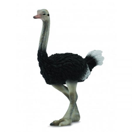 Szerepjátékok - Collecta-Strut-L-Animal-figurina