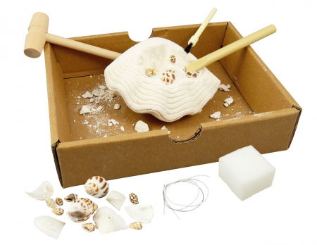 Játékok 6-8 éveseknek - Buki-France-Kit-de-sapat-Descoperim-si-invatam-despre-Scoici