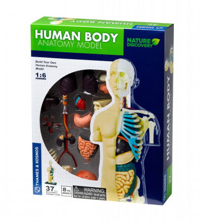 Oktató játékok - Thames & Kosmos Kit STEM Anatomia corpului uman