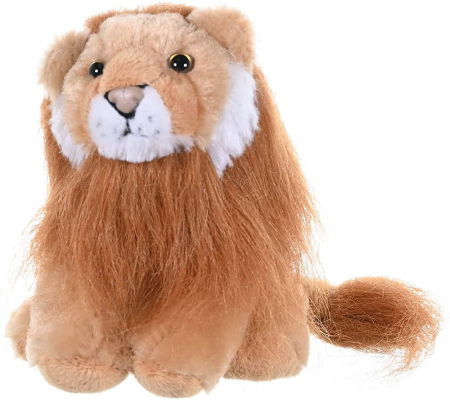 Ajándékok 5 éves gyerekeknek - Wild Republic Leu - Jucarie Plus Wild Republic 20 cm