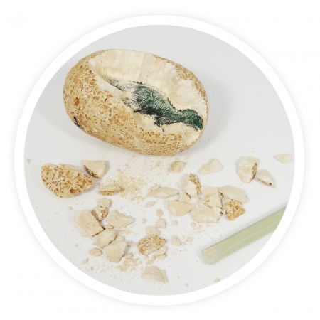 Ajándékok gyerekeknek - Buki France-Ou Dino - Set stiinta copii