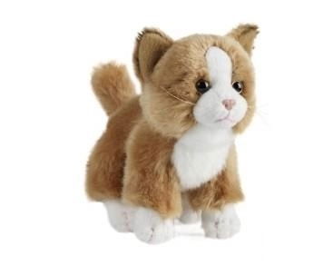 Akciók - Keycraft-Pisicuta de plus