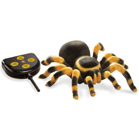 Akciók - Buki-France-Tarantula-radiocomandata