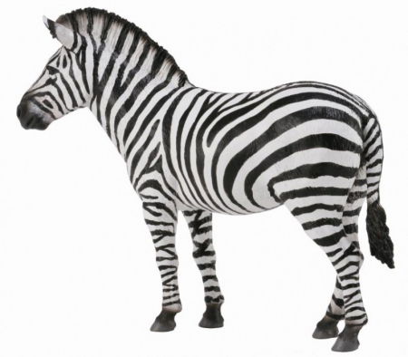 Óvodai anyagok - Collecta-Zebra-Animal-figurina