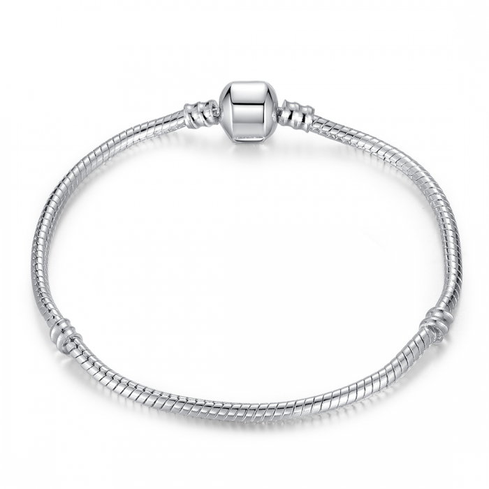 Bratara fantezie placata cu argint pentru talismane  BST0002 [1]