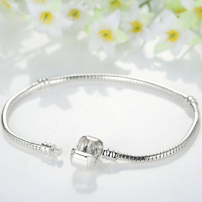 Bratara placata cu argint pentru talismane  BST0001 [2]