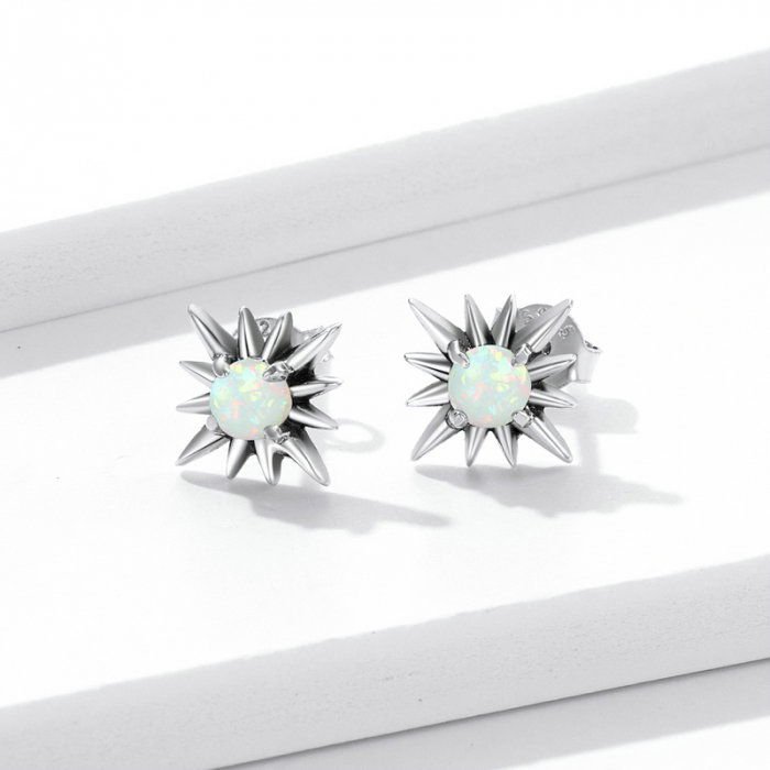 Cercei argint cu stelute de opal [2]