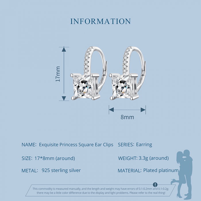 Cercei argint eleganti cu zirconii [12]