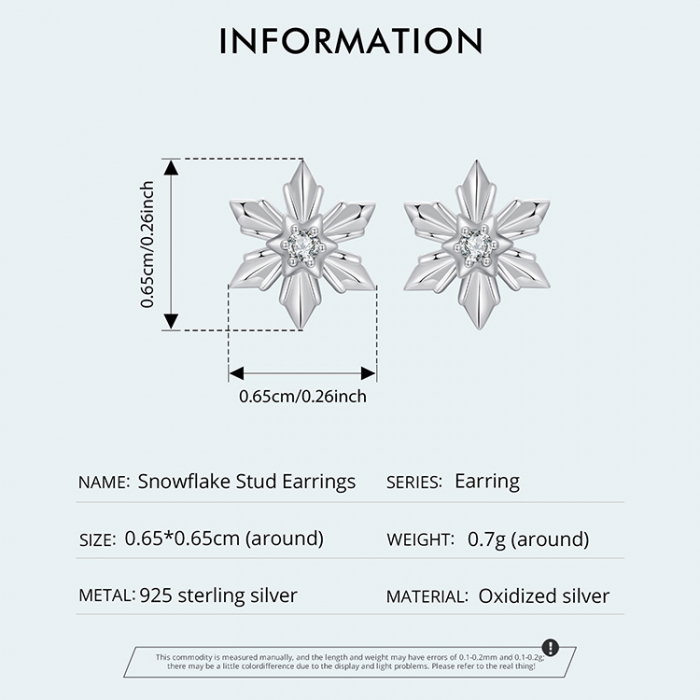 Cercei argint fulgi de nea [9]