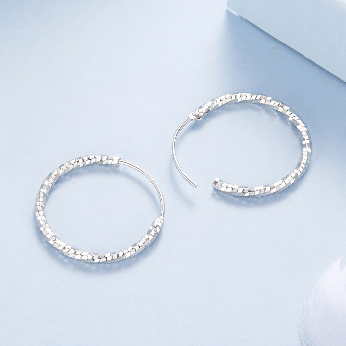 Cercei argint rasuciti Disco [6]