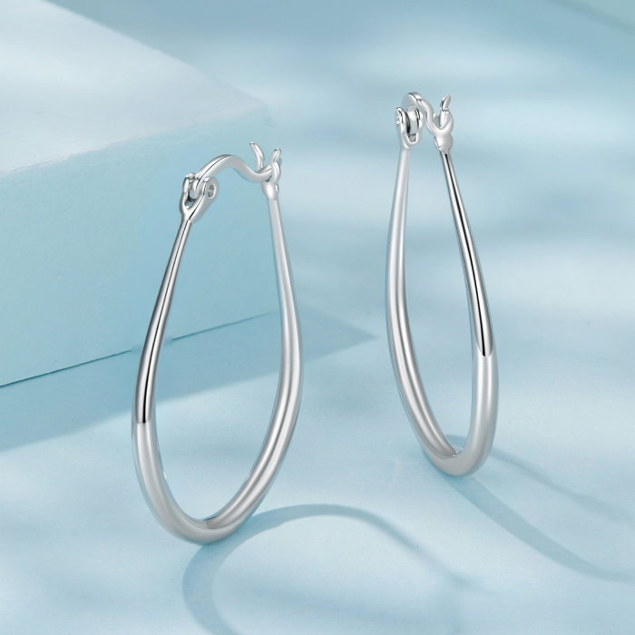 Cercei argint rotunzi [6]