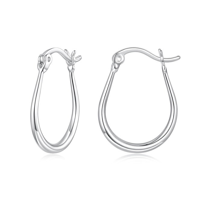 Cercei argint rotunzi [1]