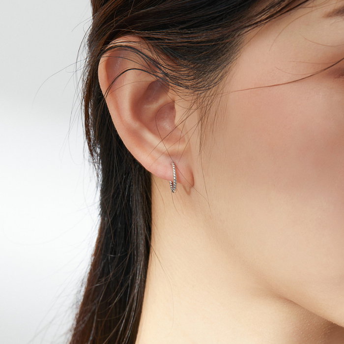 Cercei argint rotunzi [2]