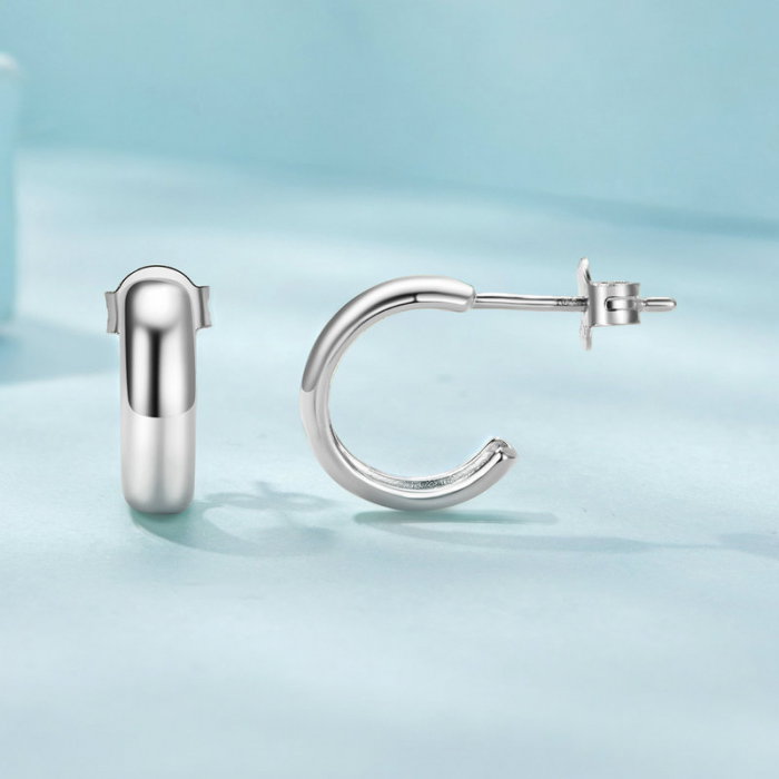 Cercei argint rotunzi [6]