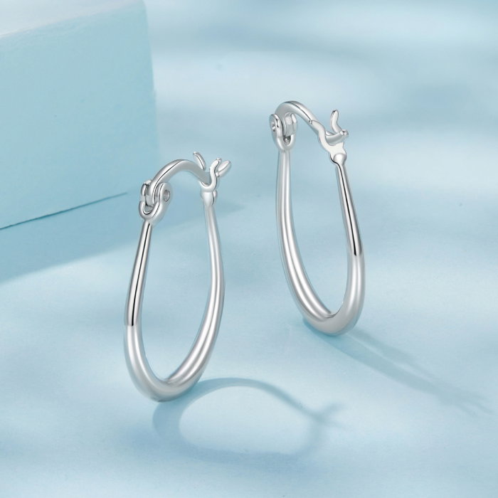 Cercei argint rotunzi [5]