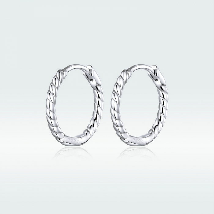 Cercei argint rotunzi [8]