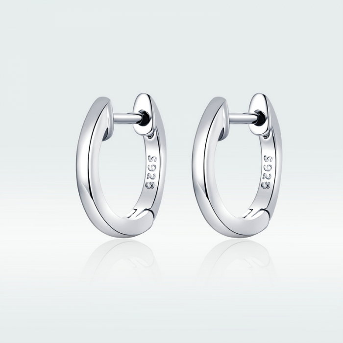 Cercei argint rotunzi [8]