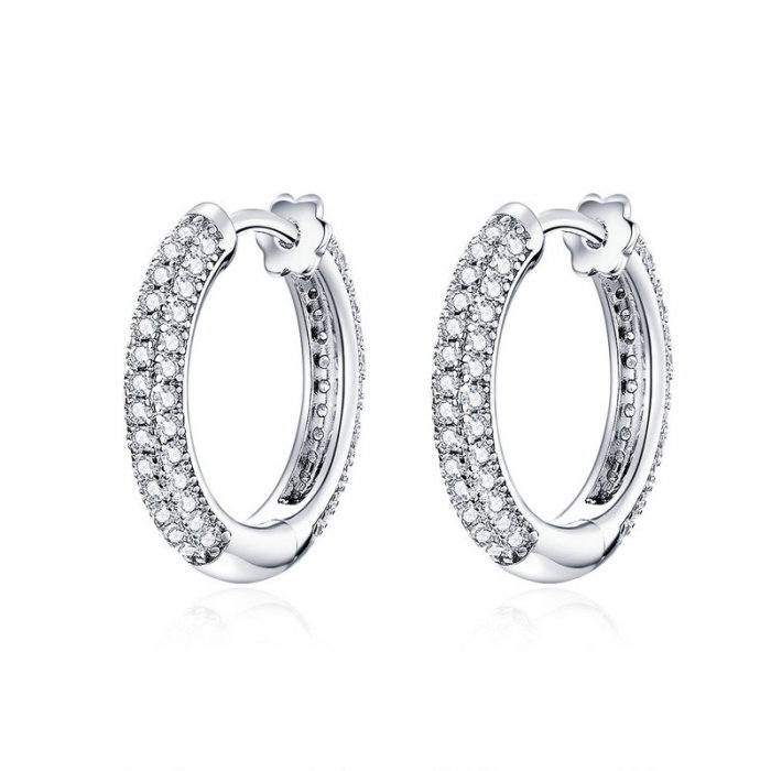 Cercei argint rotunzi [1]