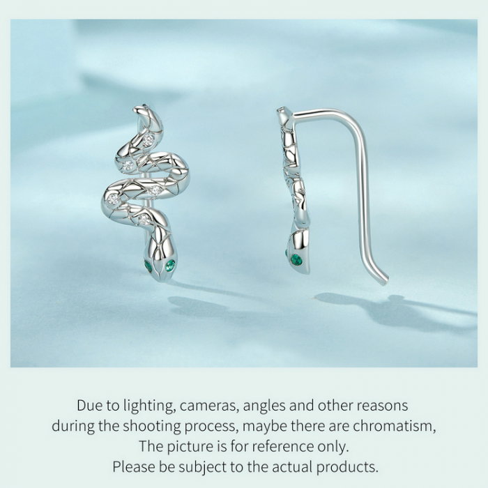 Cercei argint sarpe cu carlig [16]