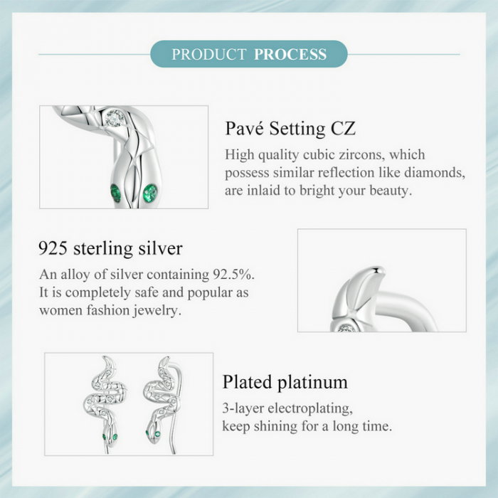 Cercei argint sarpe cu carlig [11]