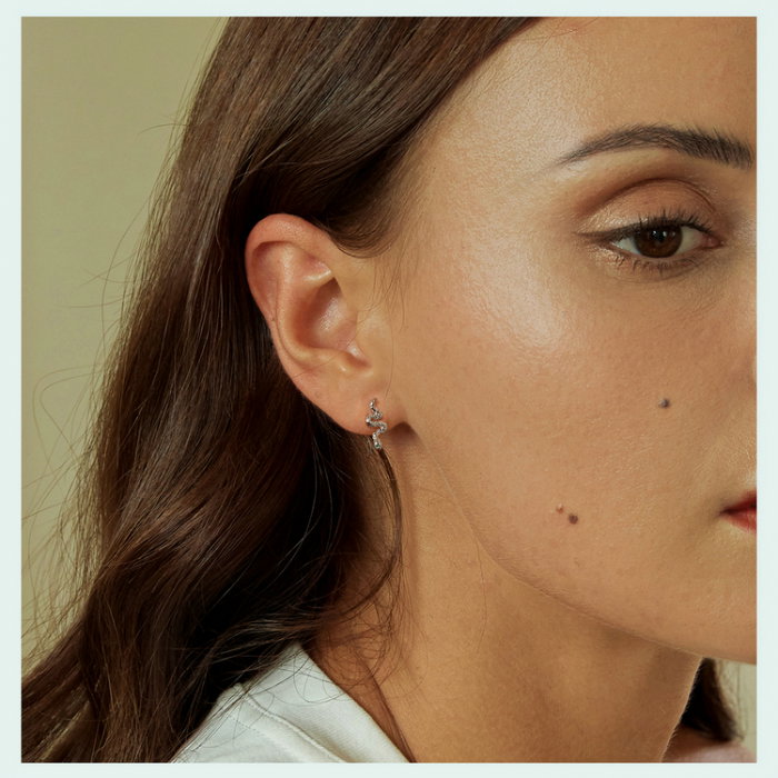 Cercei argint sarpe cu carlig [14]