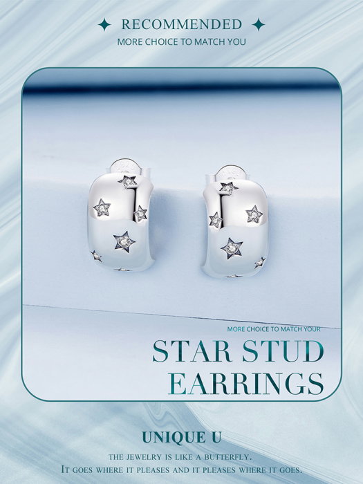 Cercei argint stelute [11]