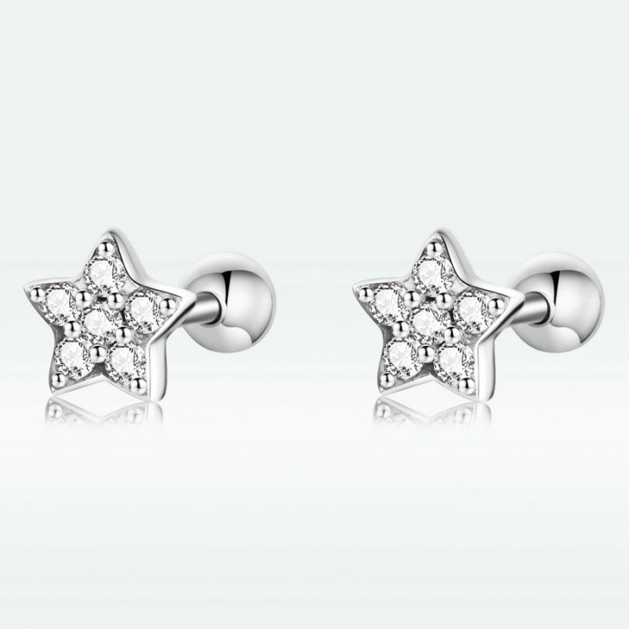 Cercei argint stelute cu zirconii [14]