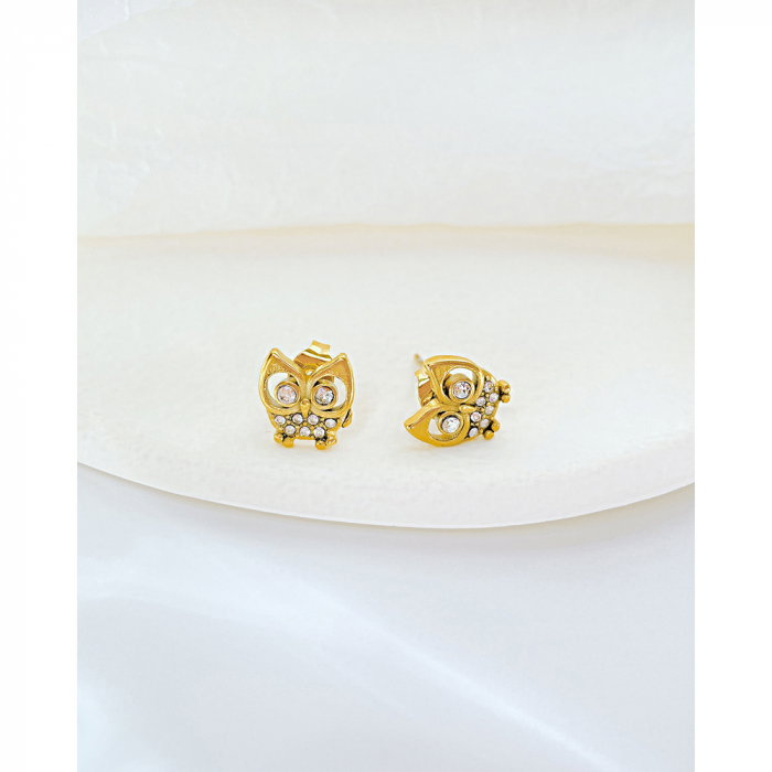 Cercei inox bufnite [11]