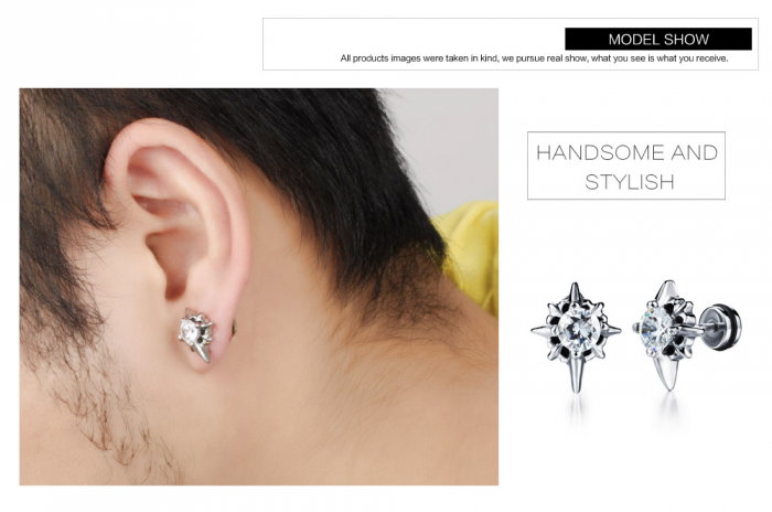 Cercei inox cu zirconiu [4]