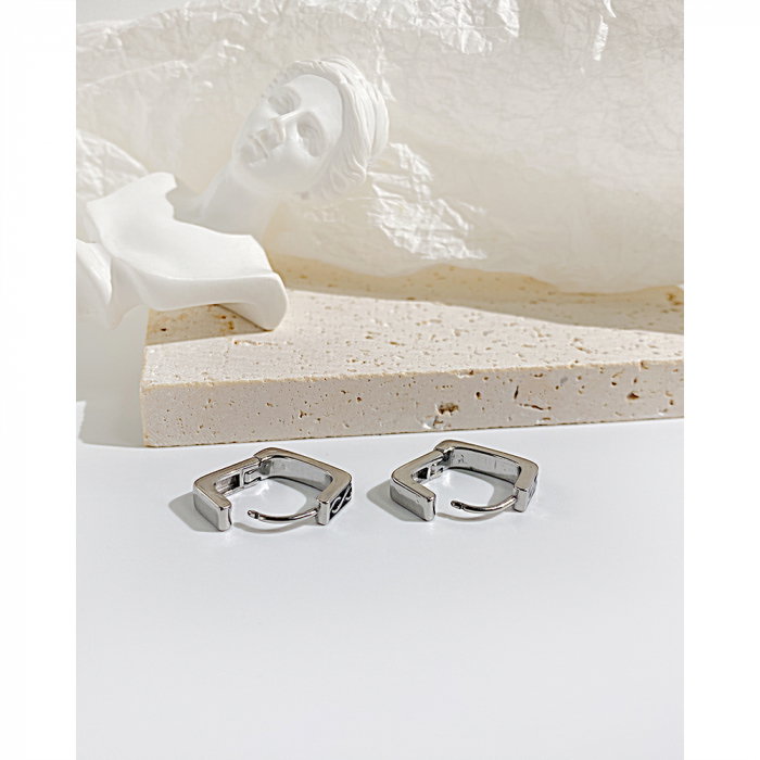 Cercei inox eleganti [15]