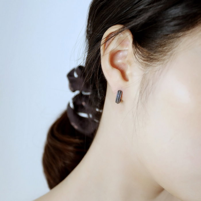 Cercei inox rotunzi [11]