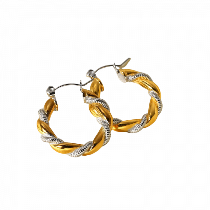 Cercei  inox rotunzi in 2 culori [6]