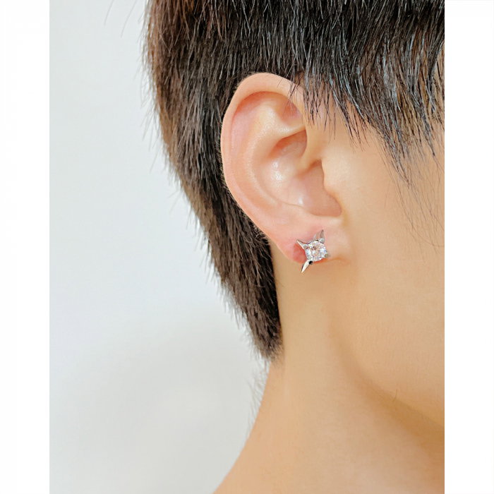 Cercei inox stelute cu zirconiu [2]