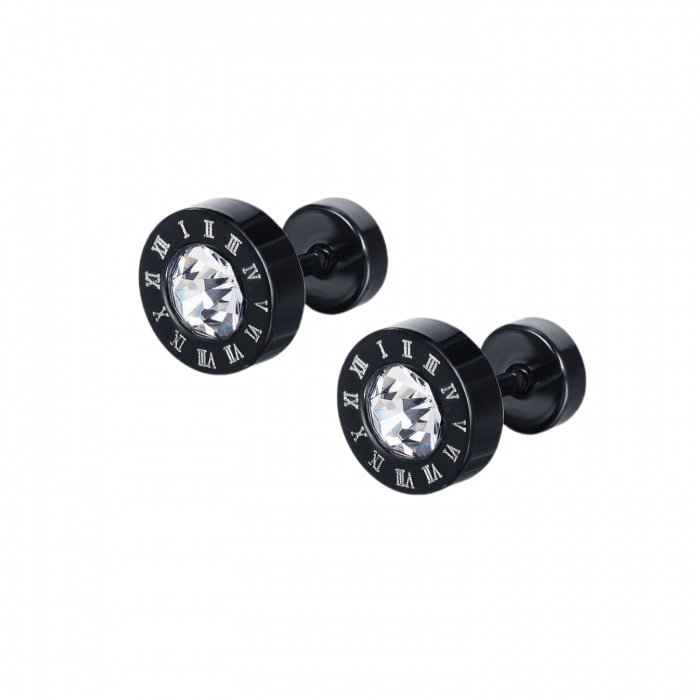 Cercei rotunzi din inox cu zirconii [1]