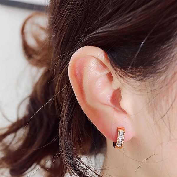 Cercei rotunzi otel inox cu zirconii [2]