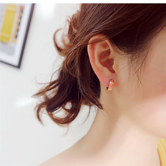 Cercei rotunzi otel inox [2]