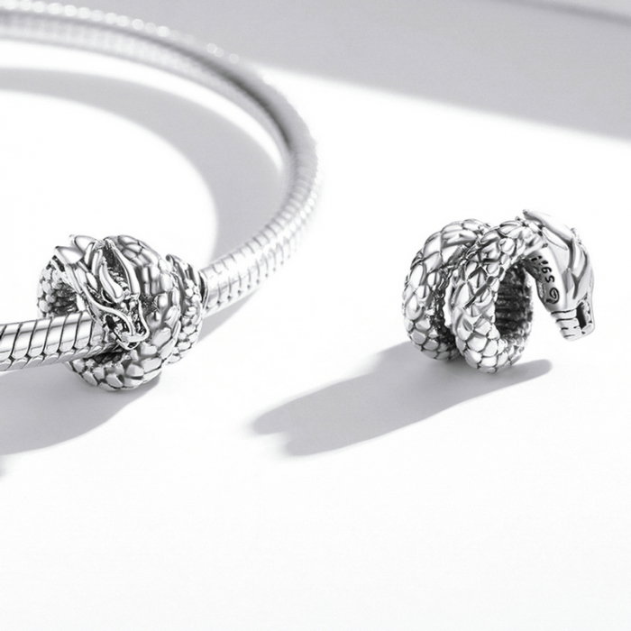 Pandantiv argint  cu dragon acvatic [4]