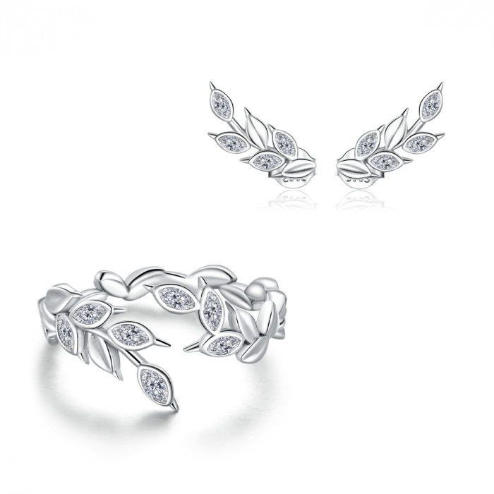 Set argint cu spice [1]