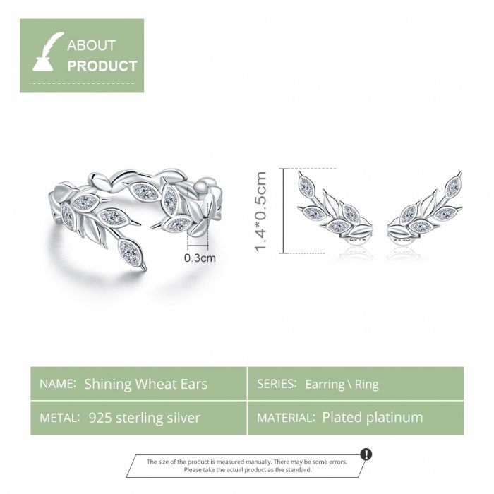 Set argint cu spice [4]